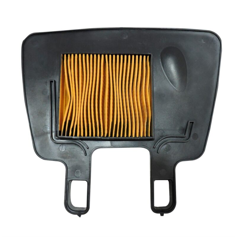 FILTRO DE AIRE BEST 125 / VIVA R 125
