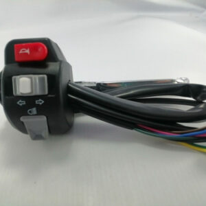 COMANDO IZQUIERDO BWS 125
