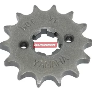 PIÑON SALIDA 13 YD LIBERO 2 HUECOS 125 PASO 428 CASSARELLA